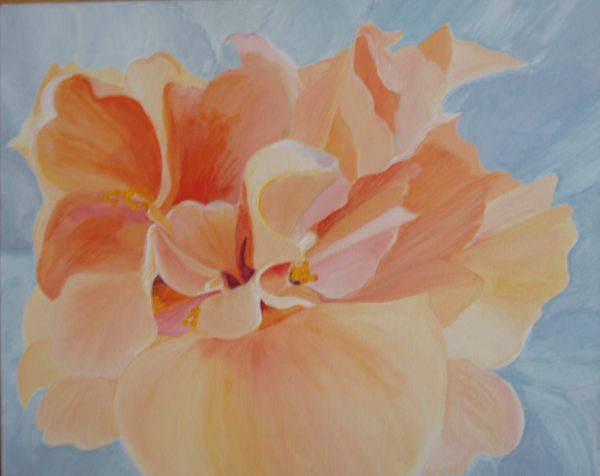 Hibiscus- orange