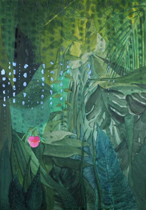 Rain Forest
